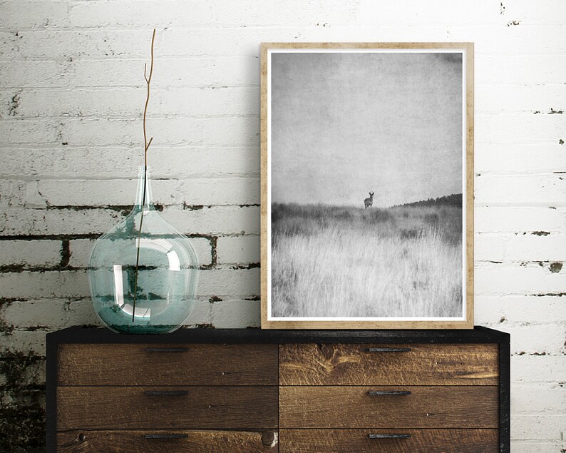 Printable Western Black and White Photography Digital Download Print Antelope Western Decor Boho Decor nature prints boho print image 7