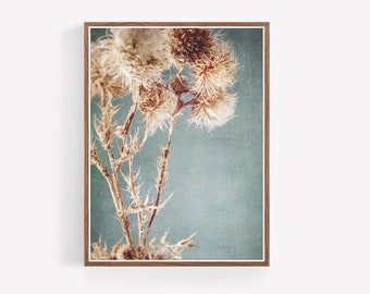 Botanical Thistles Print - Digital Download - Printable Wall art - Rustic Decor - Boho Decor - Farmhouse Decor - botanical prints - nature