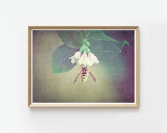Printable Bee Wall Art | Bee Art Print | Floral wall art | Instant Download Prints | Printables | Wall art printable | nature wall decor