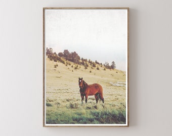 Arte de pared imprimible de caballo de campo - Arte de descarga digital - Arte de pared imprimible - Impresión de paisaje - Impresión de caballo - Decoración de granja - Decoración Boho