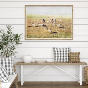 Pronghorn Herd Wall Art Antelope Wildlife Antlers Landscape Prints Instant Download Prints Animals Montana Boho Wall Art image 6