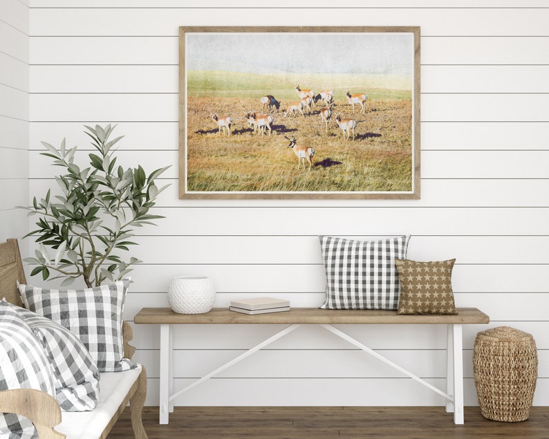 Pronghorn Herd Wall Art Antelope Wildlife Antlers Landscape Prints Instant Download Prints Animals Montana Boho Wall Art image 6