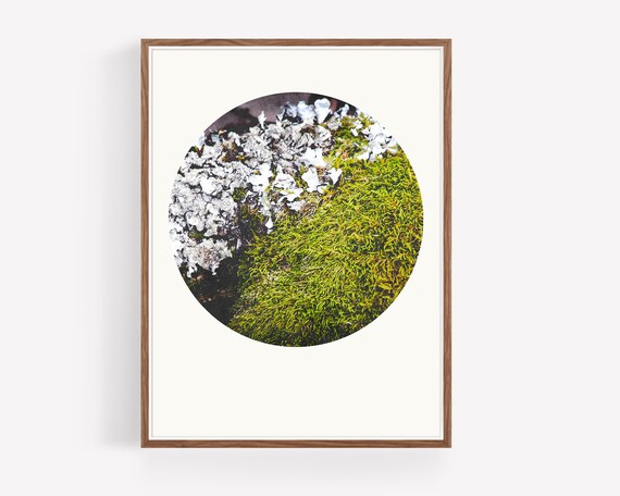 Instant Download Printable Wall Art | Etsy