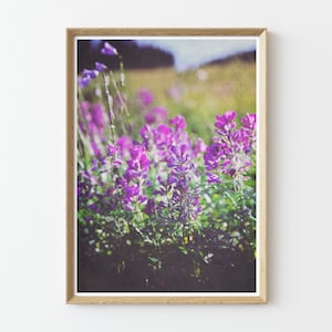 Digital Download Wildflowers Nature Prints Living Room Wall Art Download Prints Printable wall art bedroom wall art floral art image 1