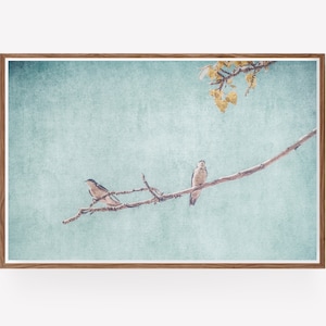 Swallows Wall Art Nature Photography Rustic Wall Art Swallows Birds Nature Prints Large Wall Art Instant Download Prints zdjęcie 4