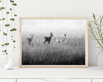 Druckbare Hirsch Wandkunst | Schwarz-Weiß Fotografie | Hirsch Wandkunst | Naturfotografie | Sofort Download Print | Große WandkunstDrucke