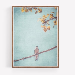 Little Sparrow Nature Photography Print Téléchargement numérique Impressions numériques Art mural imprimable Nature Boho Decor Farmhouse Decor image 1