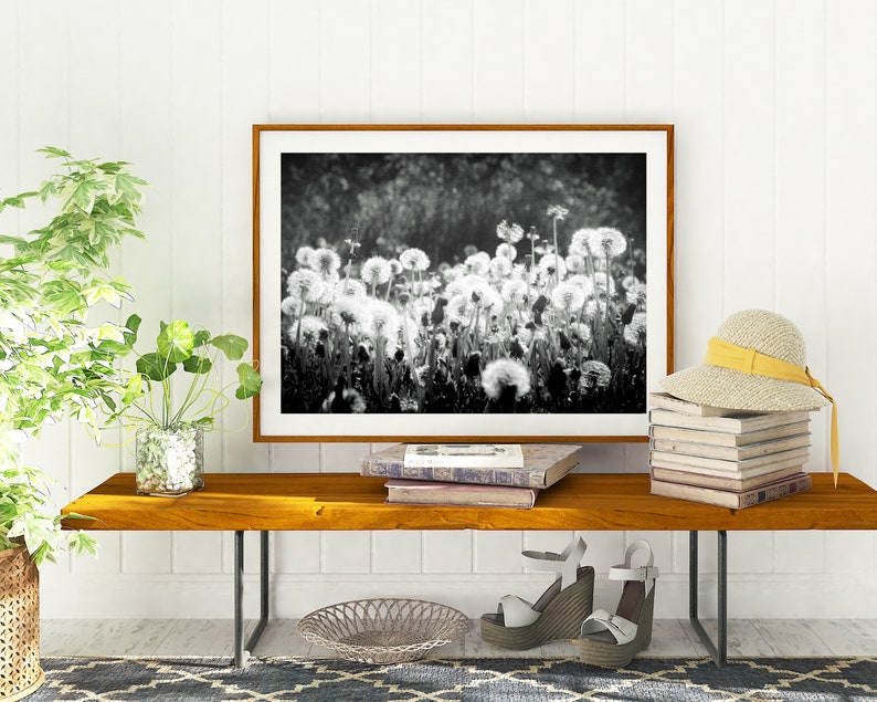 Black and White Dandelion Wall Art Instant Download Printable Wall Art Digital Download Photography Farmhouse Decor Boho Decor image 7