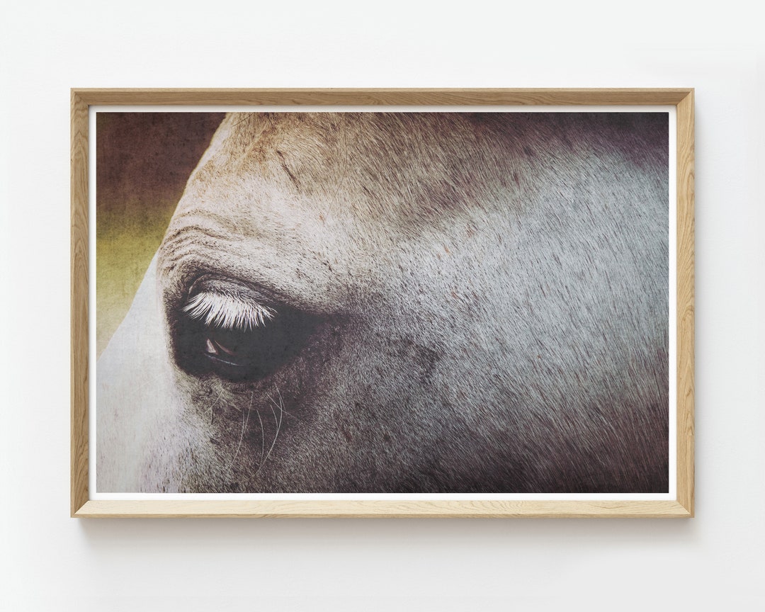 Printable Horse Photography Downloadable Art Print - Etsy