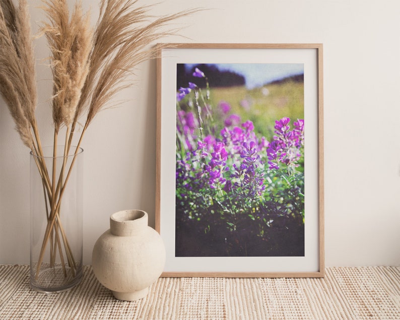 Digital Download Wildflowers Nature Prints Living Room Wall Art Download Prints Printable wall art bedroom wall art floral art image 4