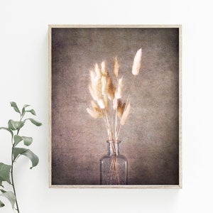 Modern Botanical Wall Art Photography instant download, printable wall art, boho wall art, botanical art prints, boho art prints, colorful image 5