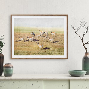 Pronghorn Herd Wall Art Antelope Wildlife Antlers Landscape Prints Instant Download Prints Animals Montana Boho Wall Art image 2
