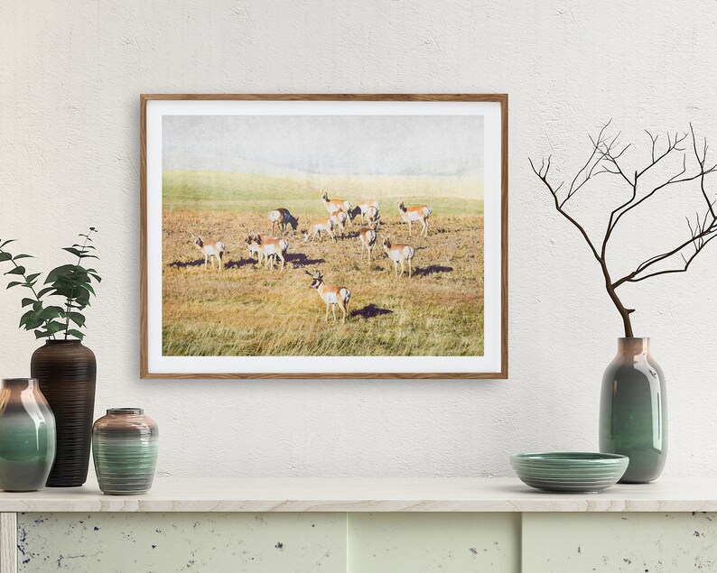 Pronghorn Herd Wall Art Antelope Wildlife Antlers Landscape Prints Instant Download Prints Animals Montana Boho Wall Art image 2