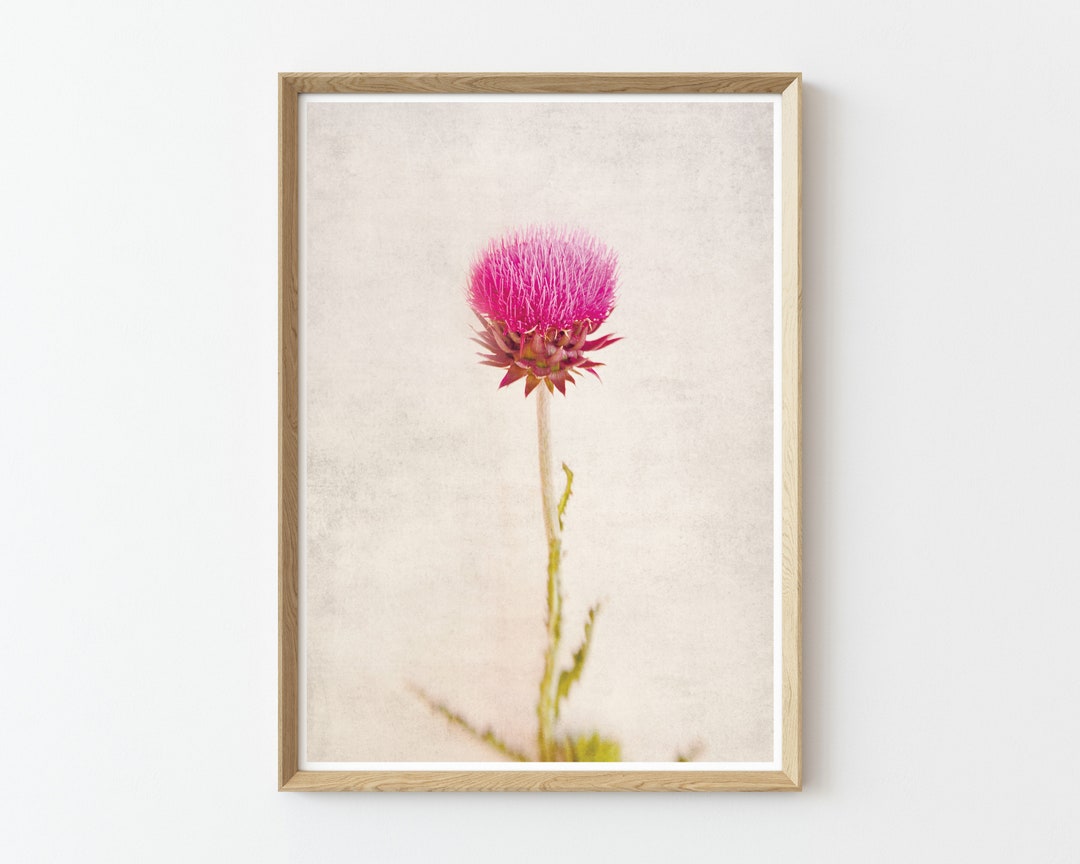 Printable Thistle Wall Art Instant Download Print Wall Art Printable