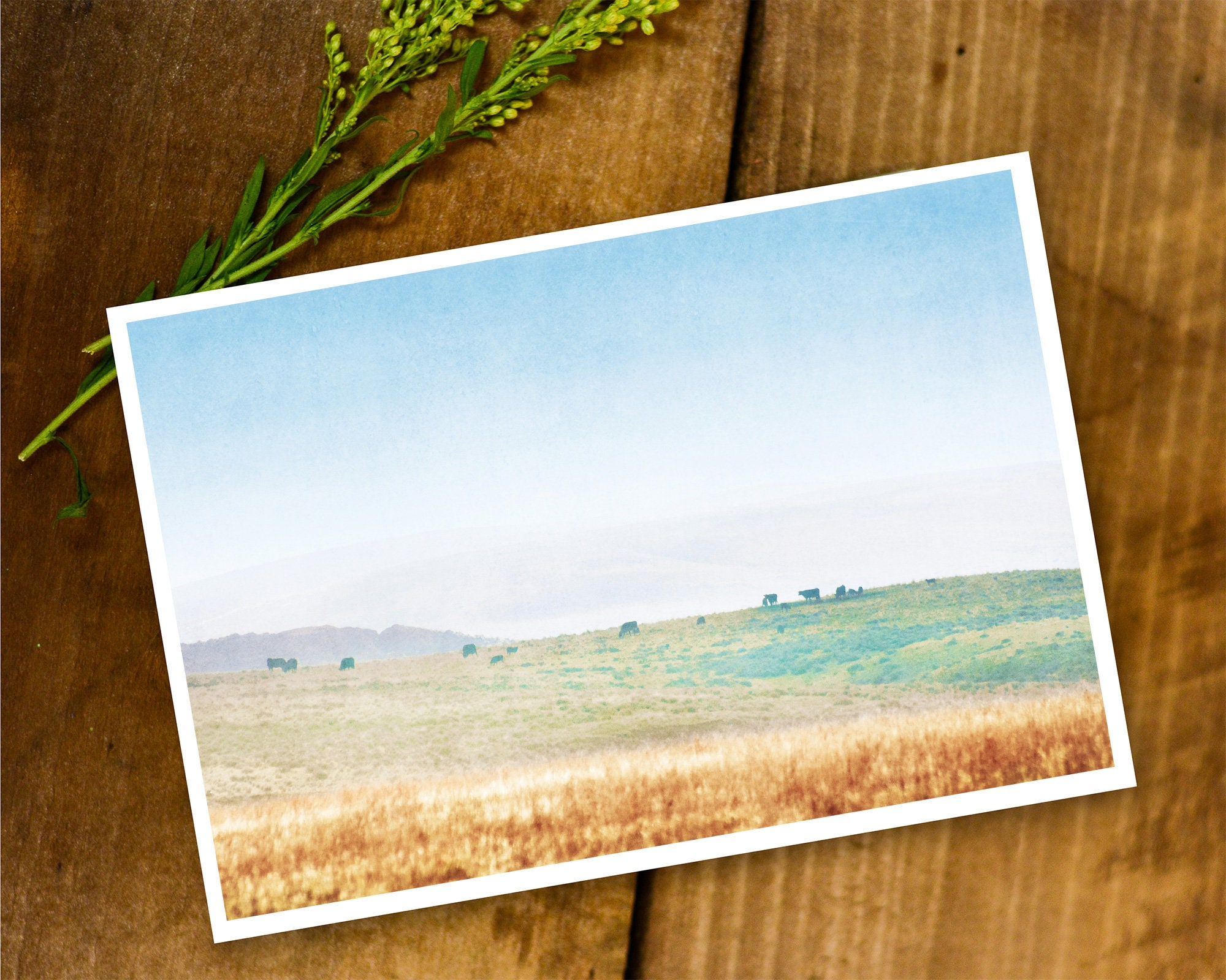 Instant Download Printable Wall Art - Etsy