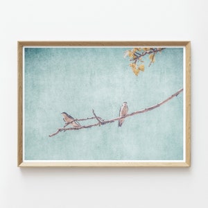Swallows Wall Art Nature Photography Rustic Wall Art Swallows Birds Nature Prints Large Wall Art Instant Download Prints image 1