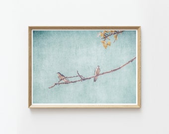 Swallows Wall Art | Nature Photography | Rustic Wall Art | Swallows | Birds | Nature Prints | Large Wall Art | Instant Download Prints