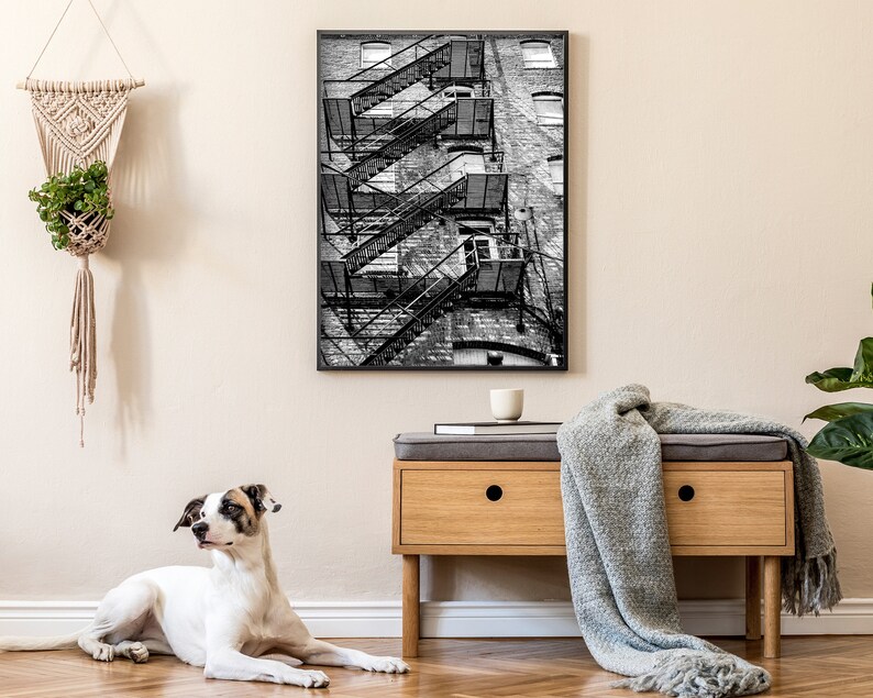 Printable Fire Escape Wall Art Rustic Wall Art Black and White Wall Art Instant Download Print Industrial Urban Photography image 7