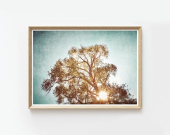 Printable Dreamy Tree Photography | Instant Download Prints | Printable wall art | landscape photography | nature photography | tree | boho