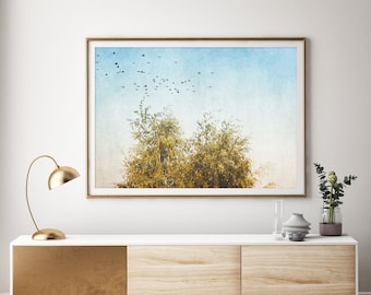 Modern Nature Photography Wall Art - instant download printable wall art, wall art printable, trees and bird art print, modern farmhouse art