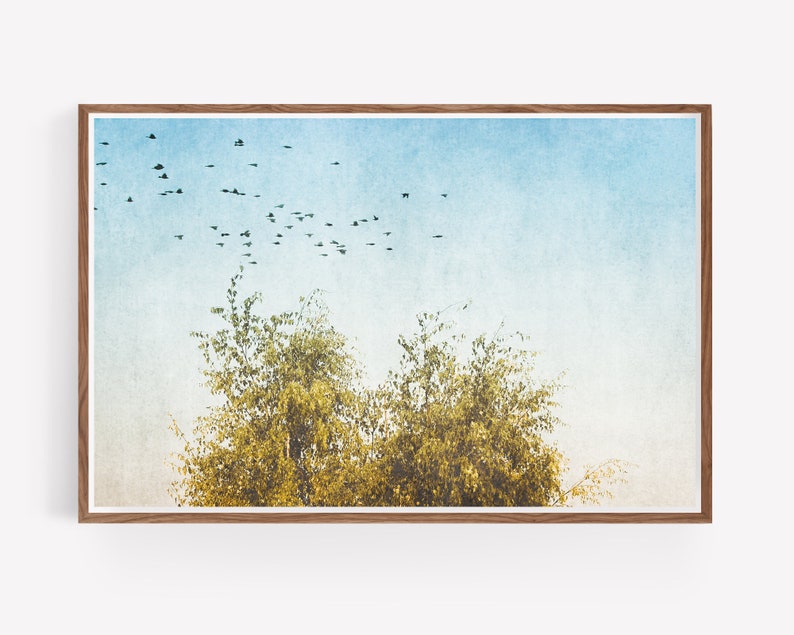 Moderne NaturFotografie Wandkunst sofortiger Download druckbare Wandkunst, Wandkunst druckbar, Bäume und Vogel Kunstdruck, moderne Wandkunst Bild 3