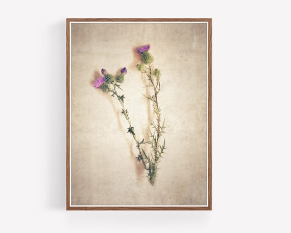 Instant Download Printable Wall Art - Etsy