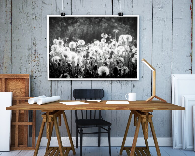 Black and White Dandelion Wall Art Instant Download Printable Wall Art Digital Download Photography Farmhouse Decor Boho Decor image 2