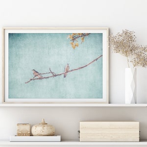 Swallows Wall Art Nature Photography Rustic Wall Art Swallows Birds Nature Prints Large Wall Art Instant Download Prints zdjęcie 9