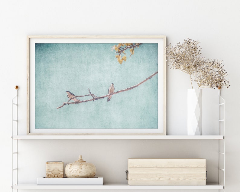 Swallows Wall Art Nature Photography Rustic Wall Art Swallows Birds Nature Prints Large Wall Art Instant Download Prints zdjęcie 9