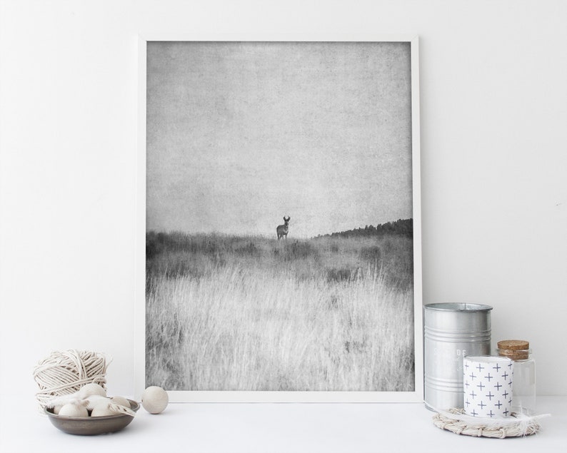 Printable Western Black and White Photography Digital Download Print Antelope Western Decor Boho Decor nature prints boho print image 3