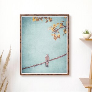 Little Sparrow Nature Photography Print Téléchargement numérique Impressions numériques Art mural imprimable Nature Boho Decor Farmhouse Decor image 4