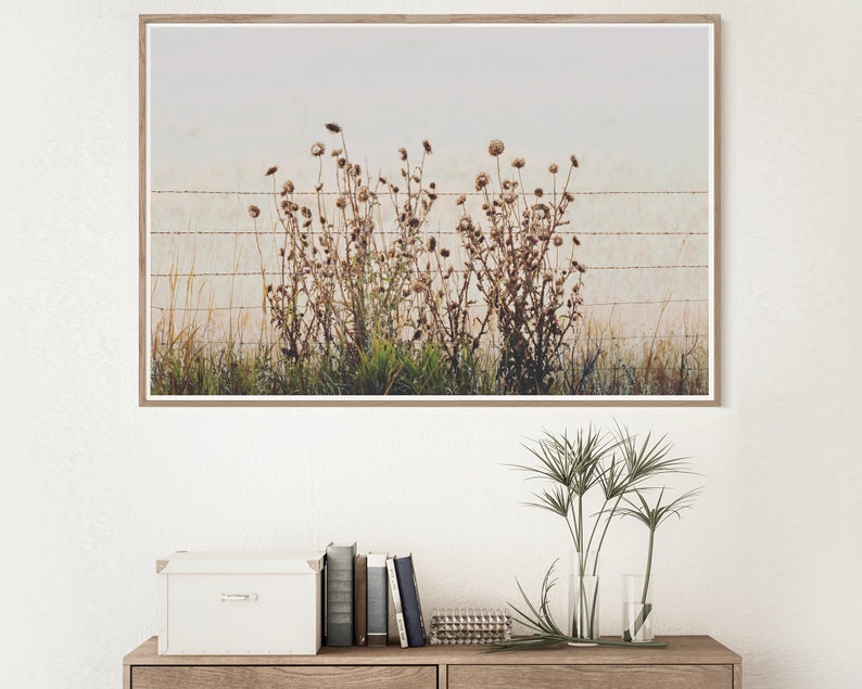 Modern Botanical Thistles Wall Art rustic botanical photography print, instant download prints, wall art printable, modern farmhouse print image 2