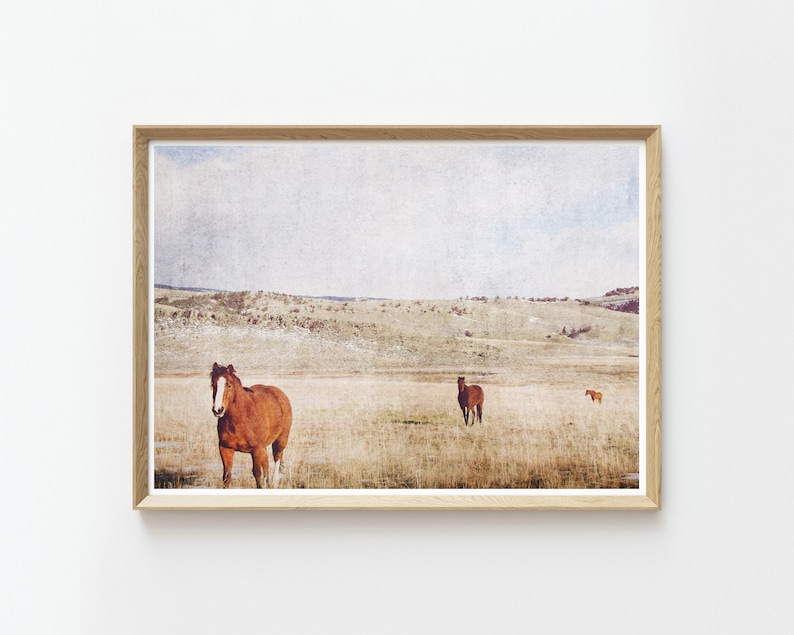 Horses and Pasture Landscape Print Instant Download Prints Rustic Wall Art Large Wall Art Nature Prints Nature Photography Boho image 1