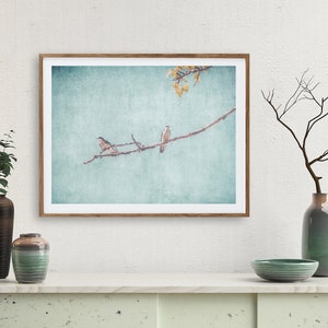 Swallows Wall Art Nature Photography Rustic Wall Art Swallows Birds Nature Prints Large Wall Art Instant Download Prints zdjęcie 2