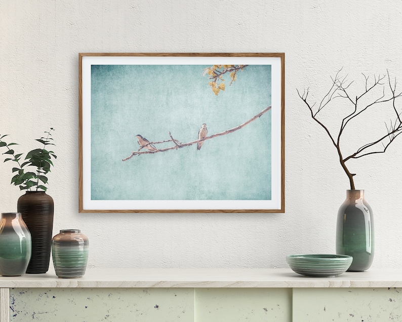 Swallows Wall Art Nature Photography Rustic Wall Art Swallows Birds Nature Prints Large Wall Art Instant Download Prints zdjęcie 2