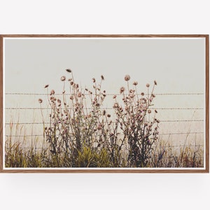 Modern Botanical Thistles Wall Art rustic botanical photography print, instant download prints, wall art printable, modern farmhouse print image 1