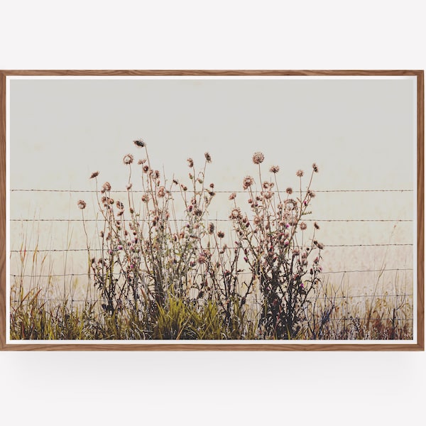 Modern Botanical Thistles Wall Art - rustic botanical photography print, instant download prints, wall art printable, modern farmhouse print