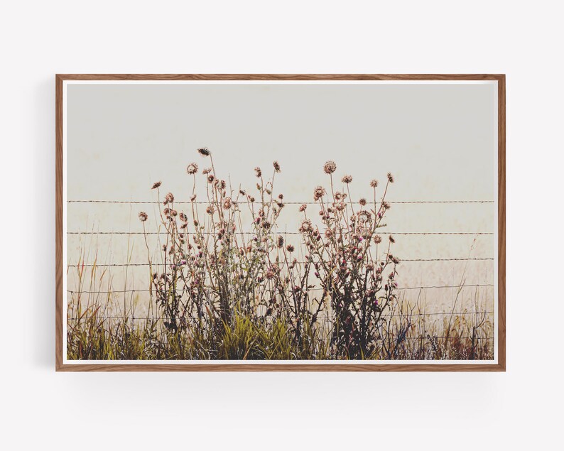 Download Arte.tv Video Mac