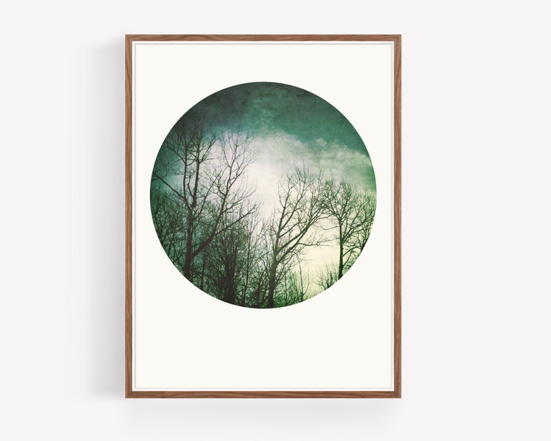 Modern Woodland Forest Landscape Print colorful woodland photography, modern farmhouse wall art prints, instant download prints, art print image 2