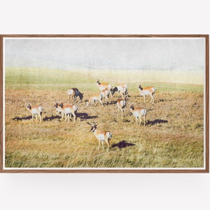 Pronghorn Herd Wall Art Antelope Wildlife Antlers Landscape Prints Instant Download Prints Animals Montana Boho Wall Art image 4