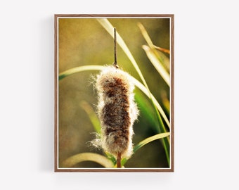 Rustic Instant Download Print