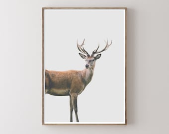 Deer with Antlers Printable Wall Art - Wildlife - Cabin Decor - Farmhouse Decor - Boho Decor - Instant Download - Digital Download Print