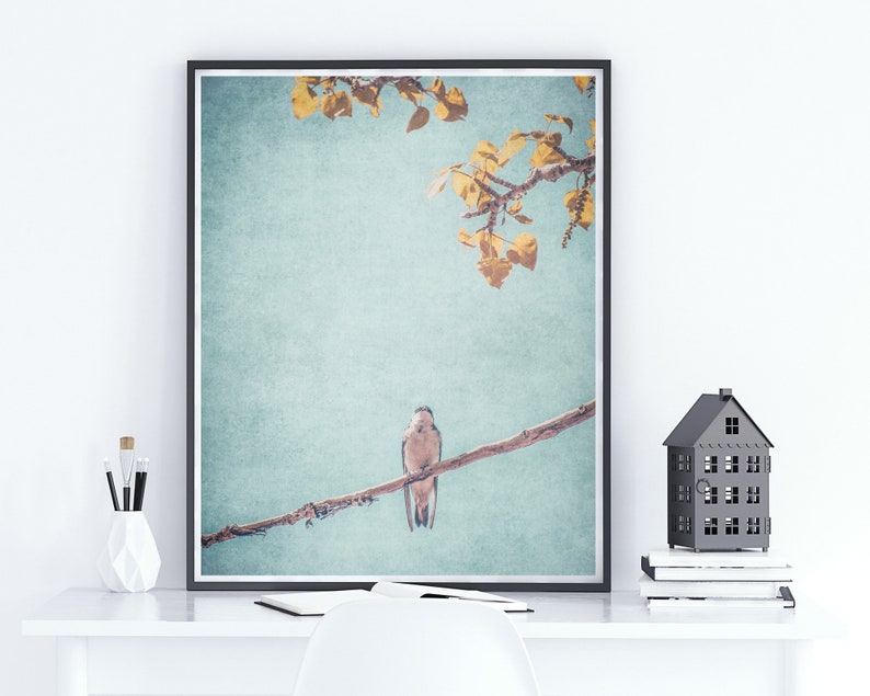 Little Sparrow Nature Photography Print Téléchargement numérique Impressions numériques Art mural imprimable Nature Boho Decor Farmhouse Decor image 3