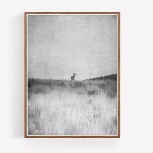 Printable Western Black and White Photography Digital Download Print Antelope Western Decor Boho Decor nature prints boho print image 1