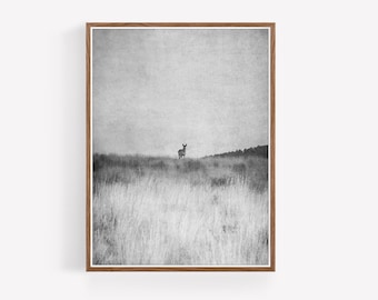 Printable Western Black and White Photography - Digital Download Print - Antelope - Western Decor - Boho Decor - nature prints - boho print