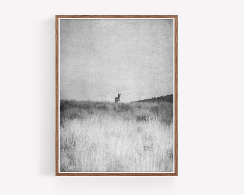 Printable Western Black and White Photography Digital Download Print Antelope Western Decor Boho Decor nature prints boho print image 1