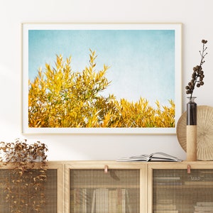 Modern Willow Branches and Blue Sky Photography - colorful botanical wall art, instant download prints, printable wall art, fall colors art