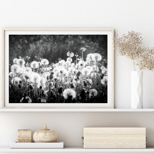 Black and White Dandelion Wall Art Instant Download Printable Wall Art Digital Download Photography Farmhouse Decor Boho Decor image 4