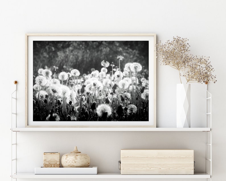 Black and White Dandelion Wall Art Instant Download Printable Wall Art Digital Download Photography Farmhouse Decor Boho Decor image 4