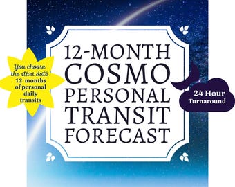 12-Month Transit Forecast